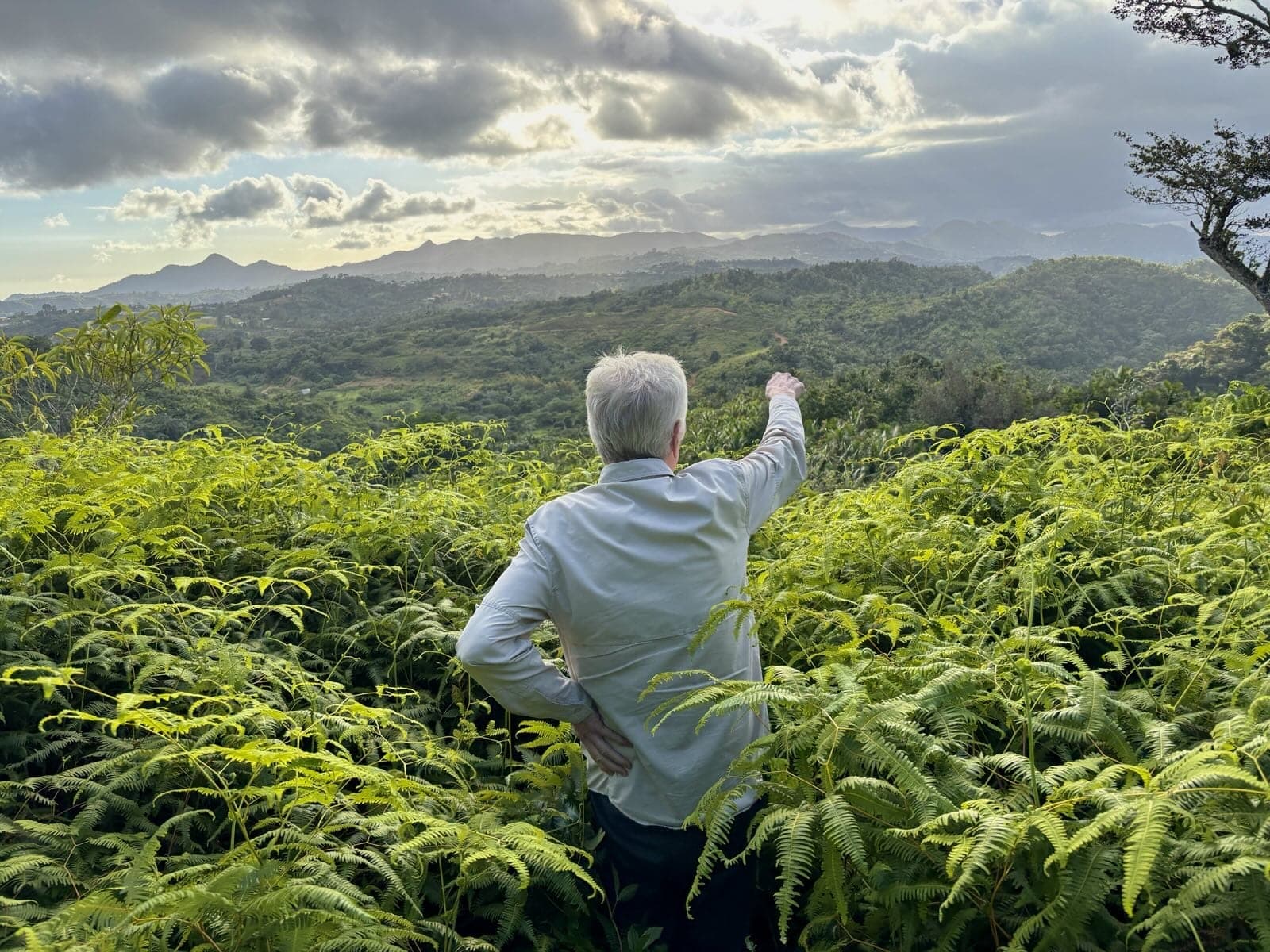 Regenerative farm landscape in Puerto Rico